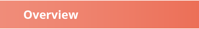 ﻿Overview
